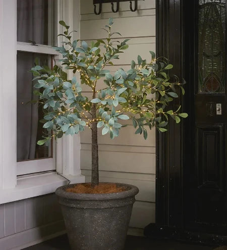 Olive Tree Light Up Dark Leaf - Small