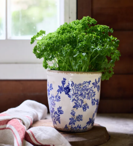 Blue Floral Herb Pot - Large