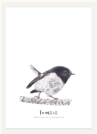 Tomtit Fine Art NZ Tea Towel