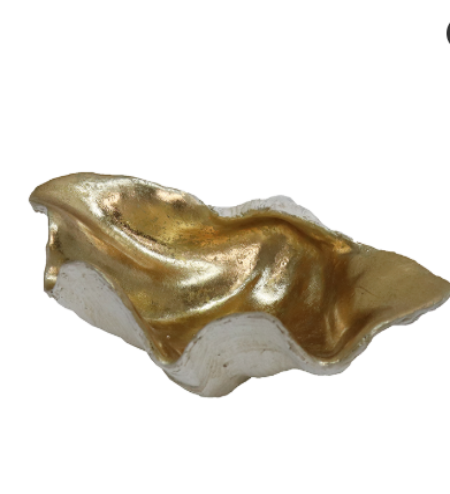Clam Shell - Small