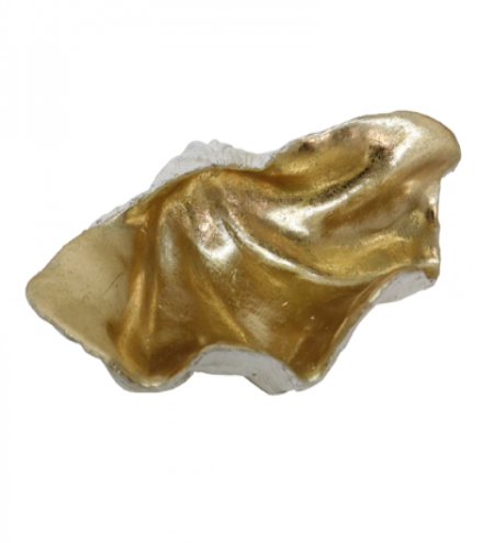 Clam Shell - Small