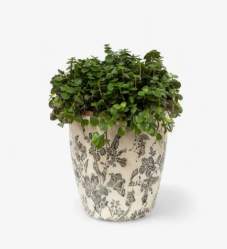 Black Floral Pot Large