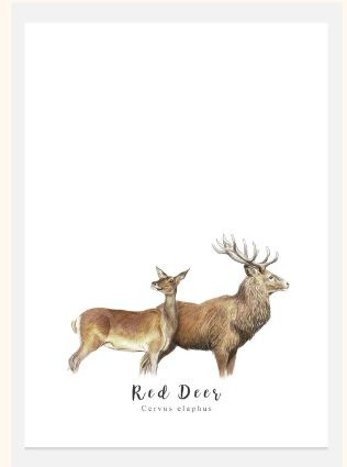 Red Deer Fine Art NZ Tea Towel