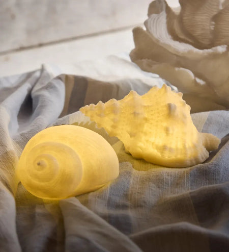 Snail Shell Decorative Light Up