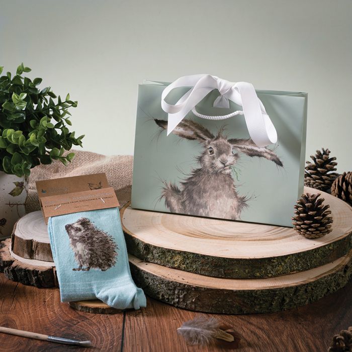 Wrendale Womans Socks - Hedghugs Hedgehog