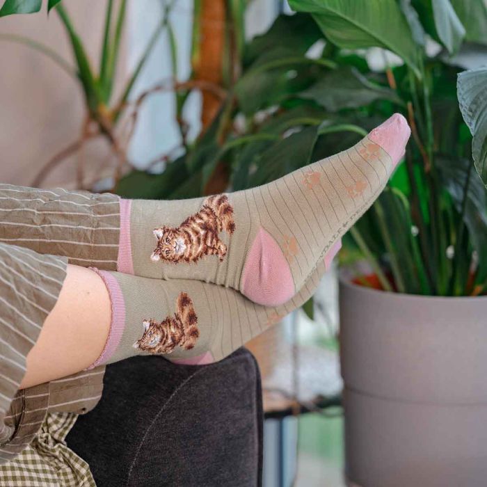 Wrendale Womans Socks - Feline Fabulous