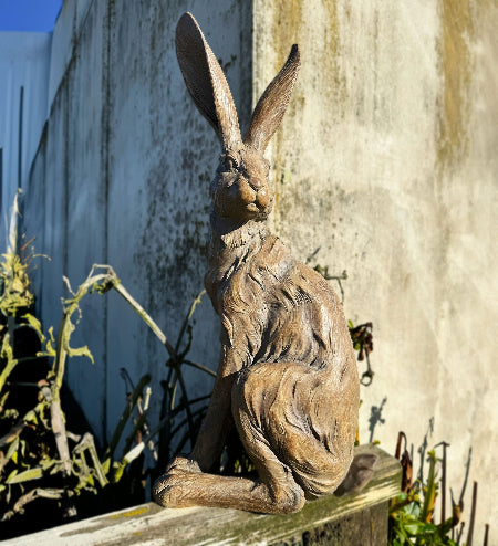 Hare Standing - Walnut