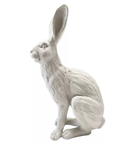 French White Rabbit