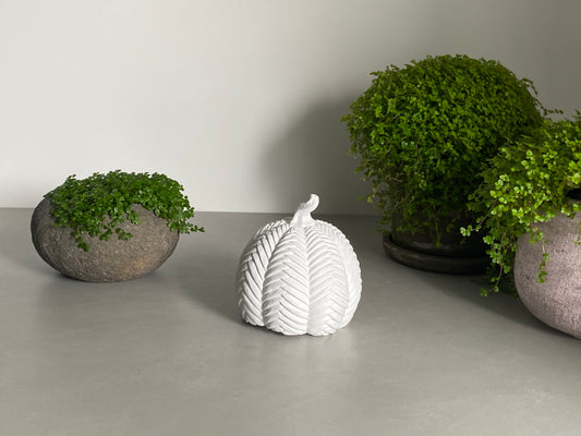 Wilde & Co Handmade Braided Concrete Pumpkin