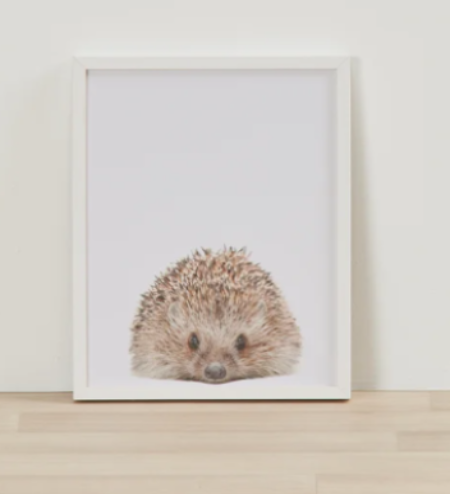 Cheeky Hedgehog Print