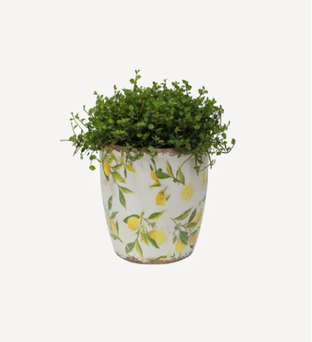 Botanical Lemon Pot | Large