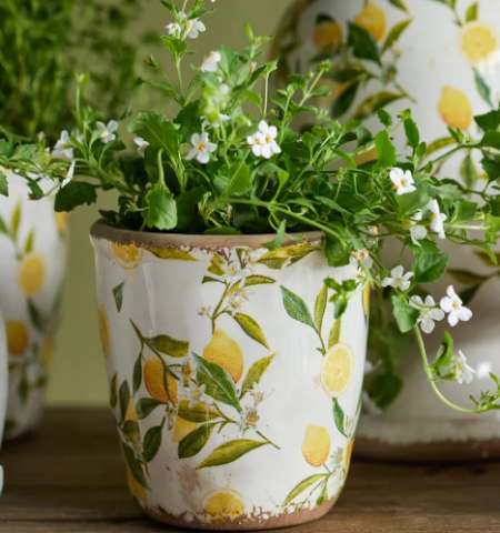 Botanical Lemon Pot | Small