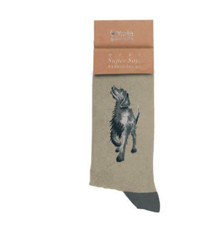 Wrendale Men's Socks Labrador