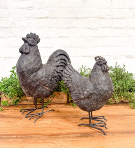 Farmyard Rooster