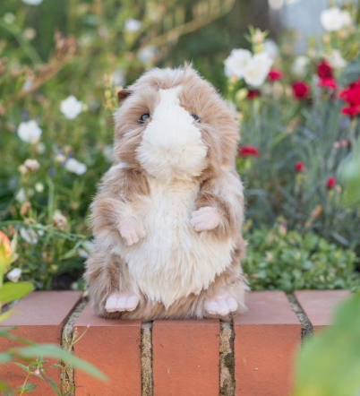 Wrendale Daphne Plush Guinea Pig - Regular