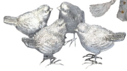 Silver Bird Sparrows