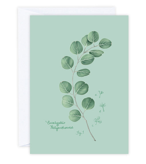 Eucalyptus Greeting Card