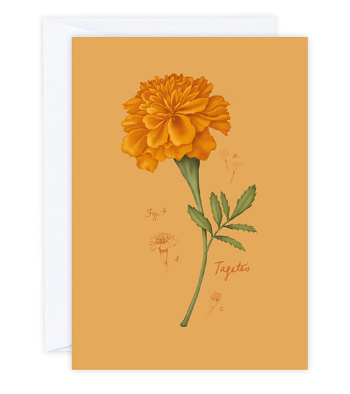 Marigold Greeting Card