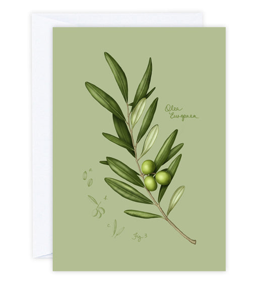 Olive Leaves Greeting Card