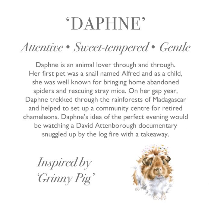 Wrendale Daphne Plush Guinea Pig - Regular