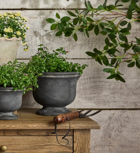 Georgio Planter - Large