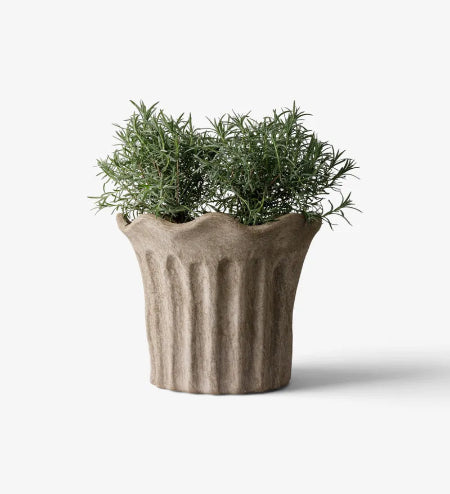 A potted green plant in a ribbed, textured light brown ceramic pot, set against a plain white background.