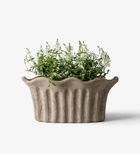 A ribbed concrete planter with a scalloped rim, filled with green and white flowering plants, set against a plain white background.